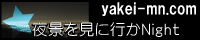 夜景を見に行かNight