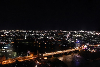 利根川に架かる群馬大橋のライトアップを中心に眺める