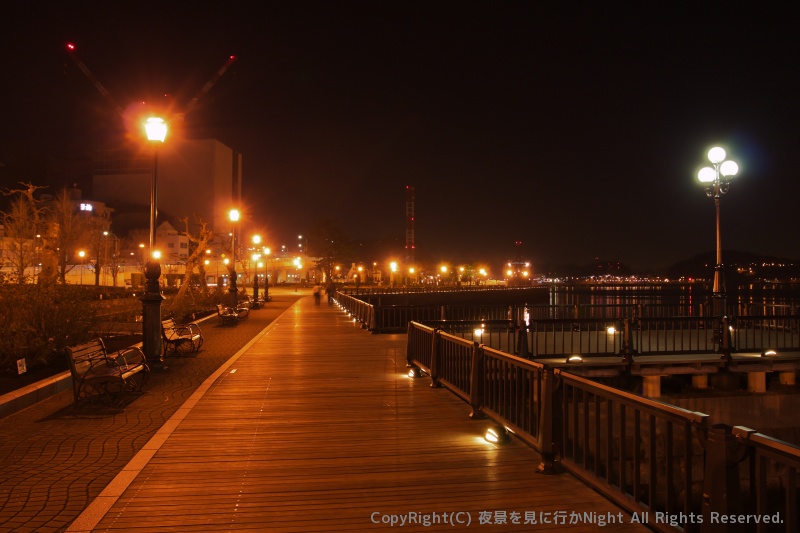 ヴェルニー公園 神奈川県横須賀市の夜景 夜景を見に行かnight