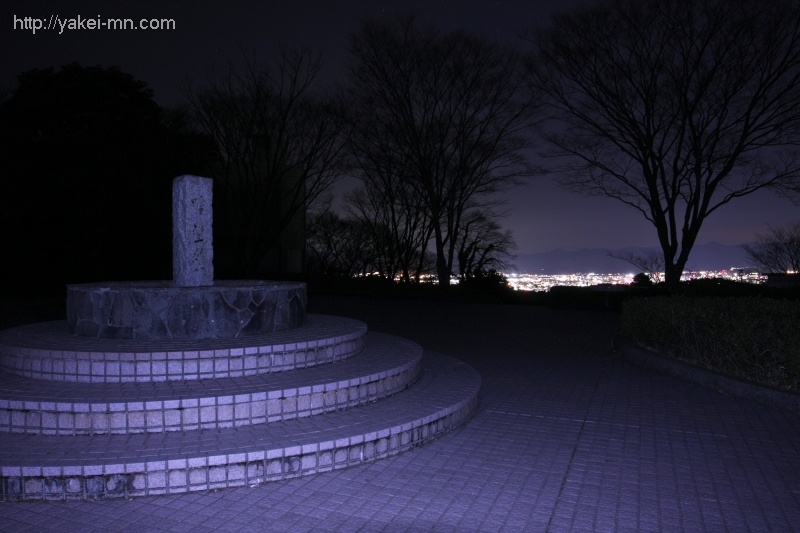 日本平 吟望台 静岡県静岡市の夜景 夜景を見に行かnight