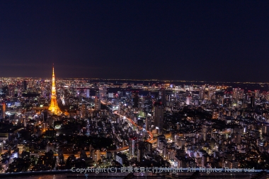 東京タワー・汐留・お台場を眺める