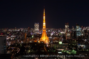 東京タワーを中心に眺める