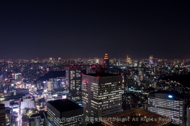 東京タワーやNTTビル方面を眺める（南東方面）
